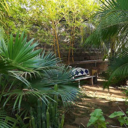 Harvest House Nicaragua Hotel Leon Exterior photo