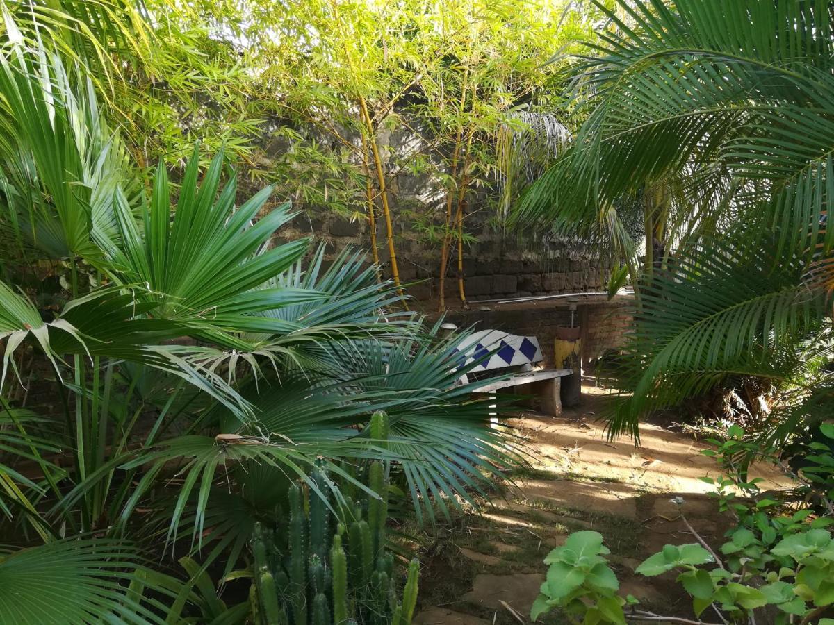 Harvest House Nicaragua Hotel Leon Exterior photo